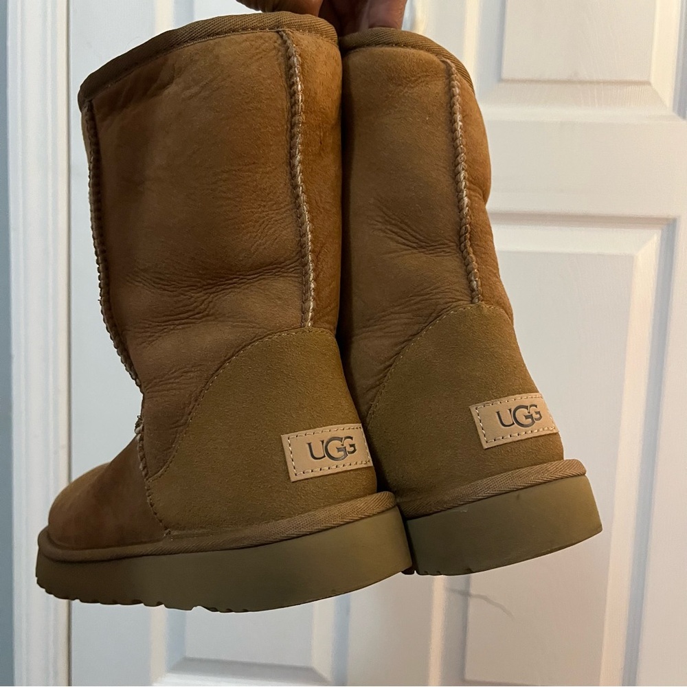 UGG Classic Short Boots in Chestnut